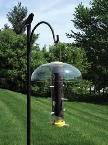 Finch Feeder